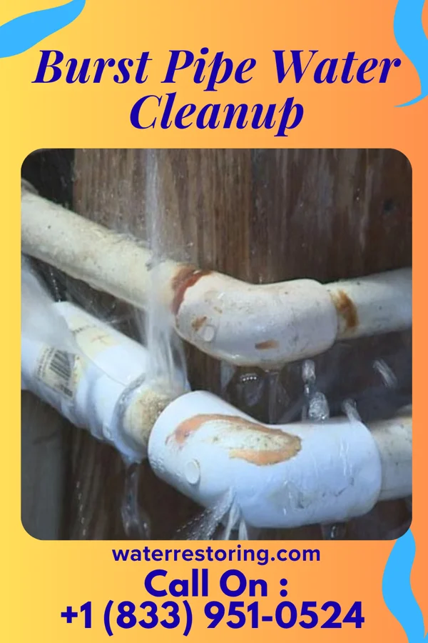 Burst Pipe Water Cleanup in Worthington, OH