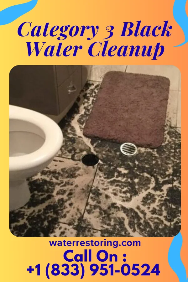 Category 3 Black Water Cleanup in Worthington, OH