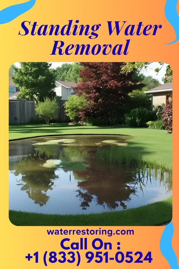 Standing Water Removal in Worthington, OH